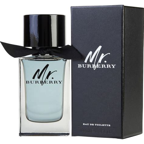 burberry mr burberry 100ml eau de toilette spray|Burberry eau de toilette men.